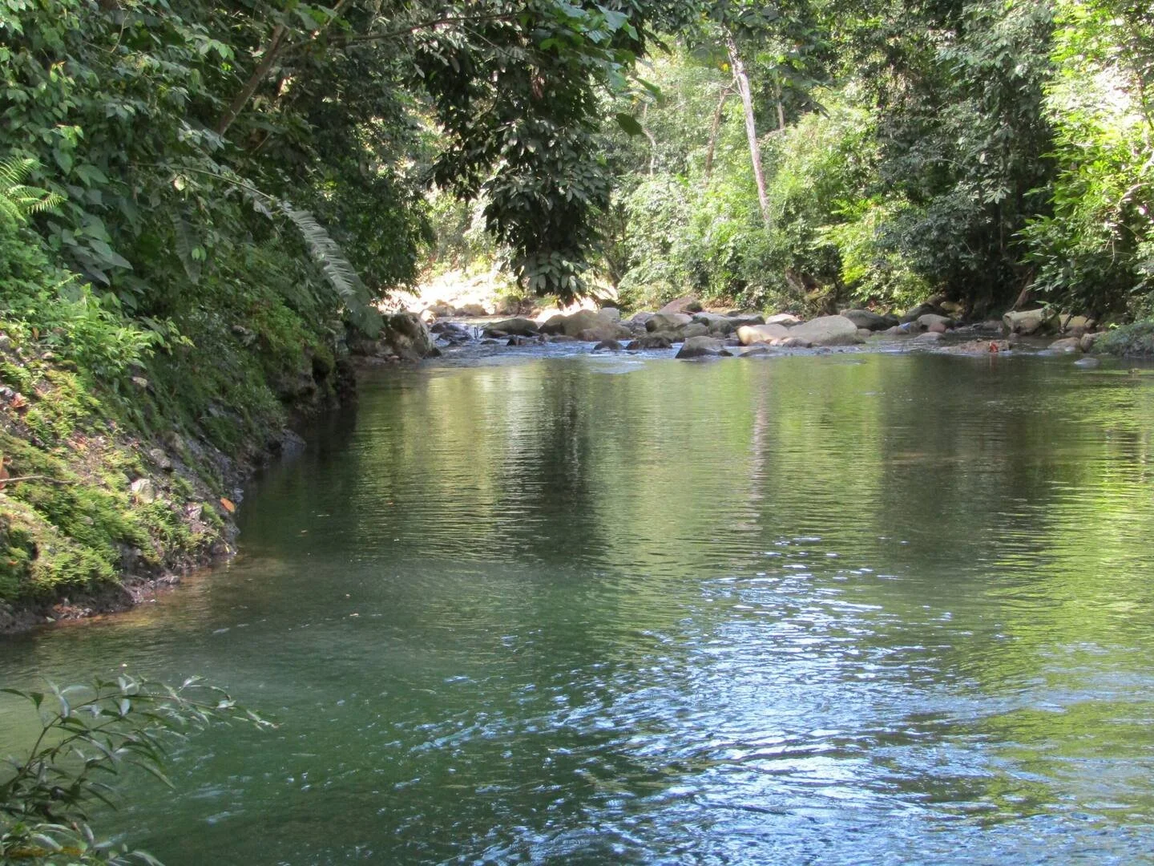 Veritas Villages Chiriquí creek and natural surroundings near Boquete Panama